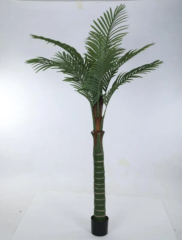 Faux Tall Feather Palm Plant With Black Plastic Pot - 6.56 ft media 5