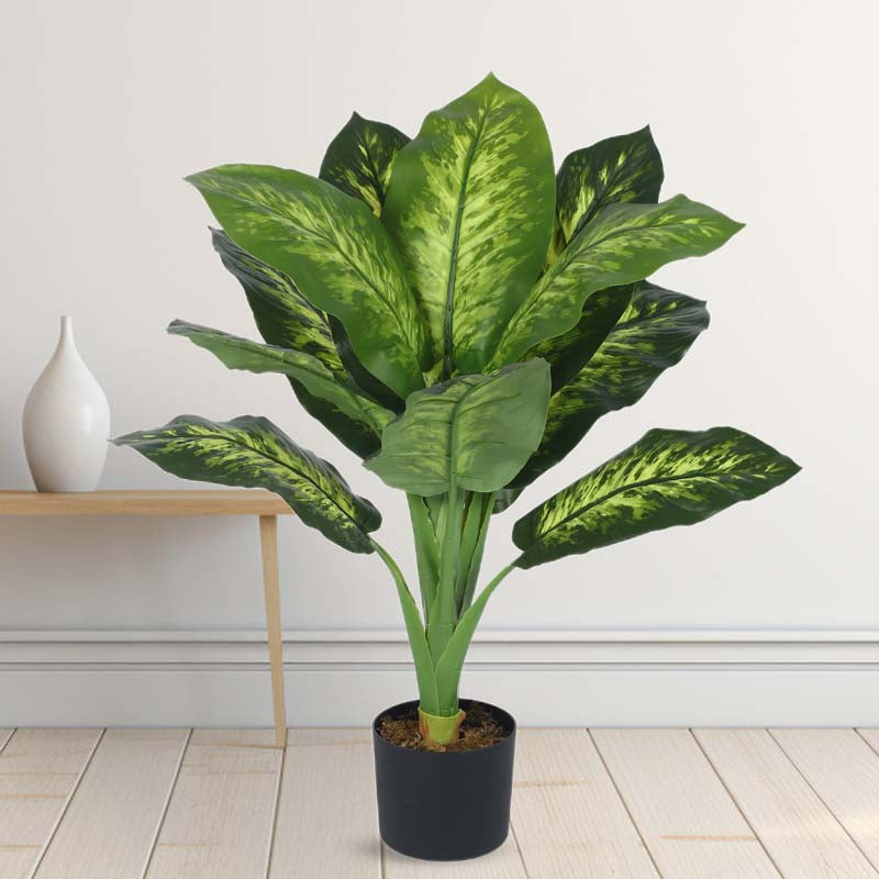 Faux Lush Dieffenbachia Plant With Black Plastic Pot - 3.0 Feet media 3