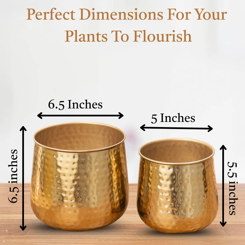 Rooted Charm Auric Golden Planter - Set Of Two media 6