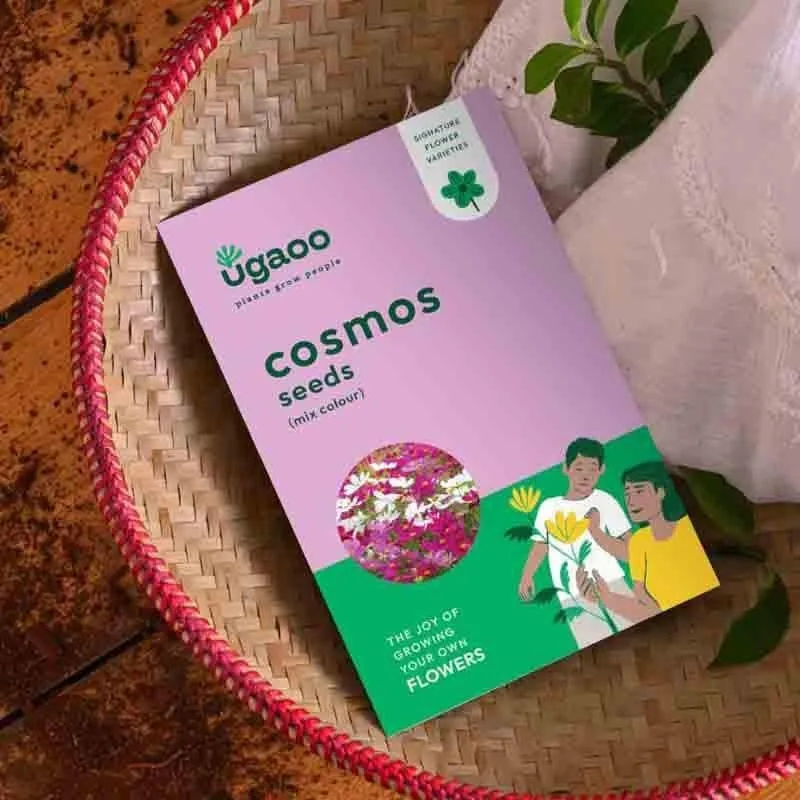 Ugaoo Cosmos Mix Seeds media 4