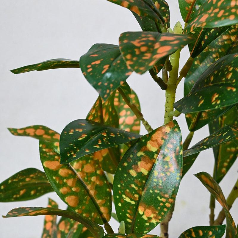 Faux Everlasting Dracaena surculosa Plant With Pot - 46 cm media 4