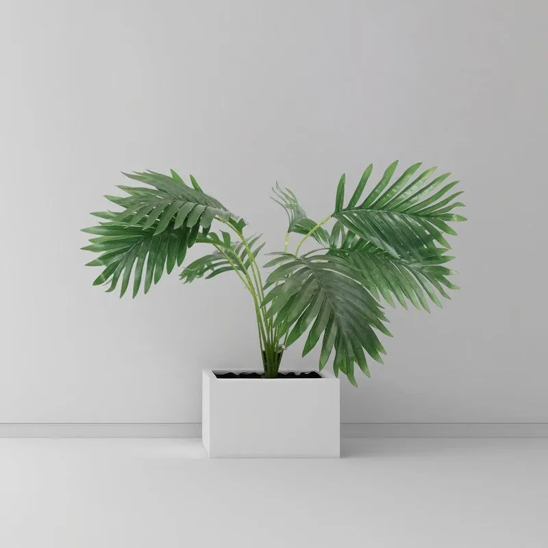 PlushPetal Artificial Areca Plant With Black Plastic Pot - 2.1 Feet media 6