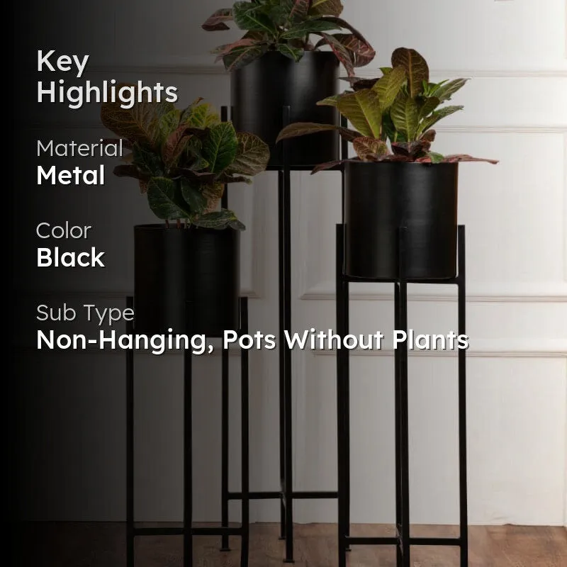Cyra Black Metal Planters - Set Of Three media 2