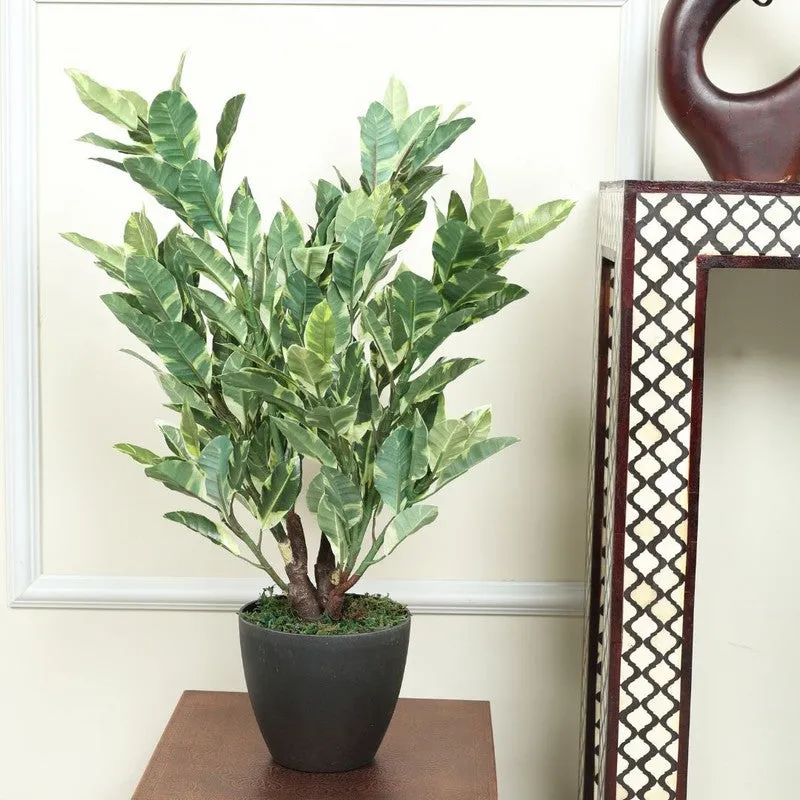 Artificial Quercus Plant Without Pot - 2.2 Feet media 3