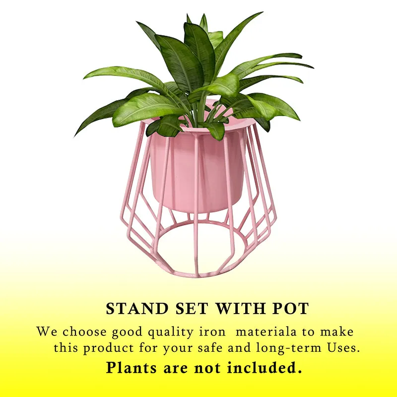 Steela Planter (Pink) - Set Of Two media 4