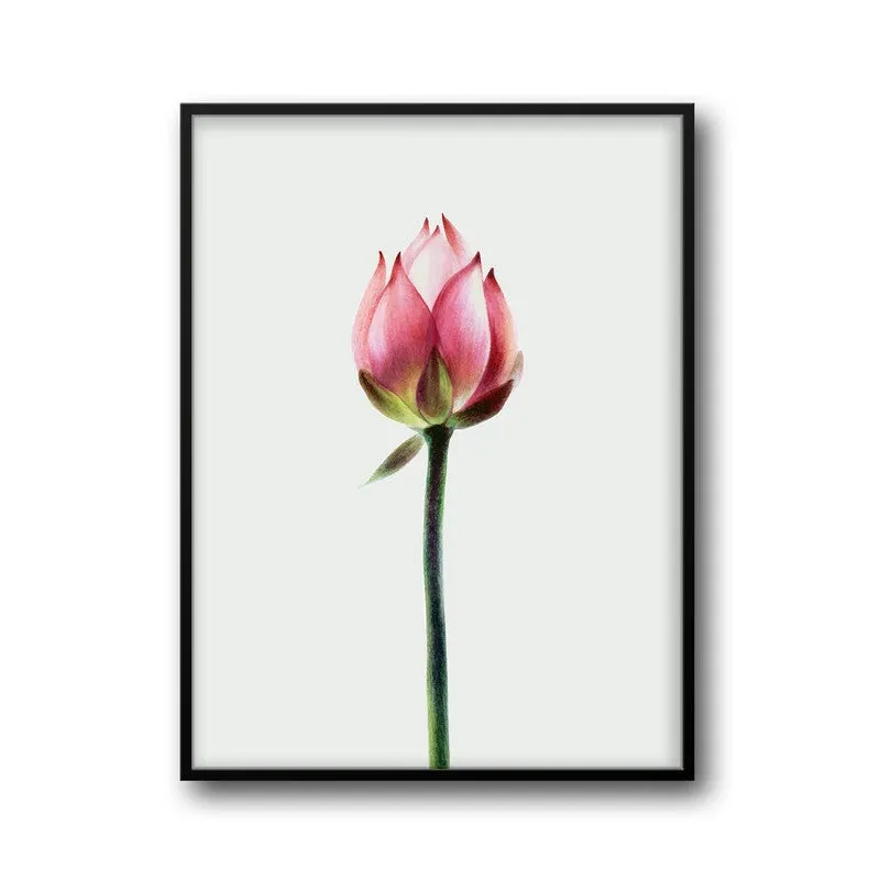 Painted Lotus Bud Archival Paper Wall Art With Frame media 6