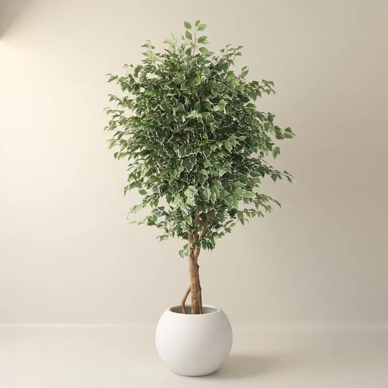 Urban Jungle Artifcial Plant With Black Plastic Pot - 7.4 ft media 3