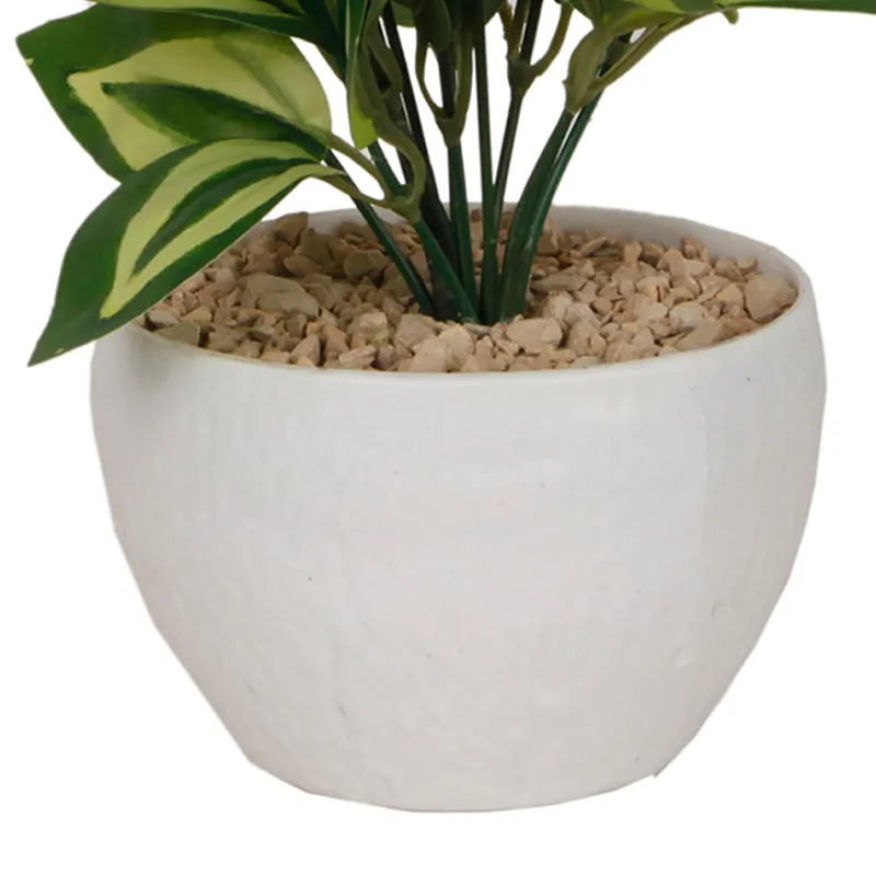 Deanna Artificial Plant With Black Plastic Pot -1 Feet media 3