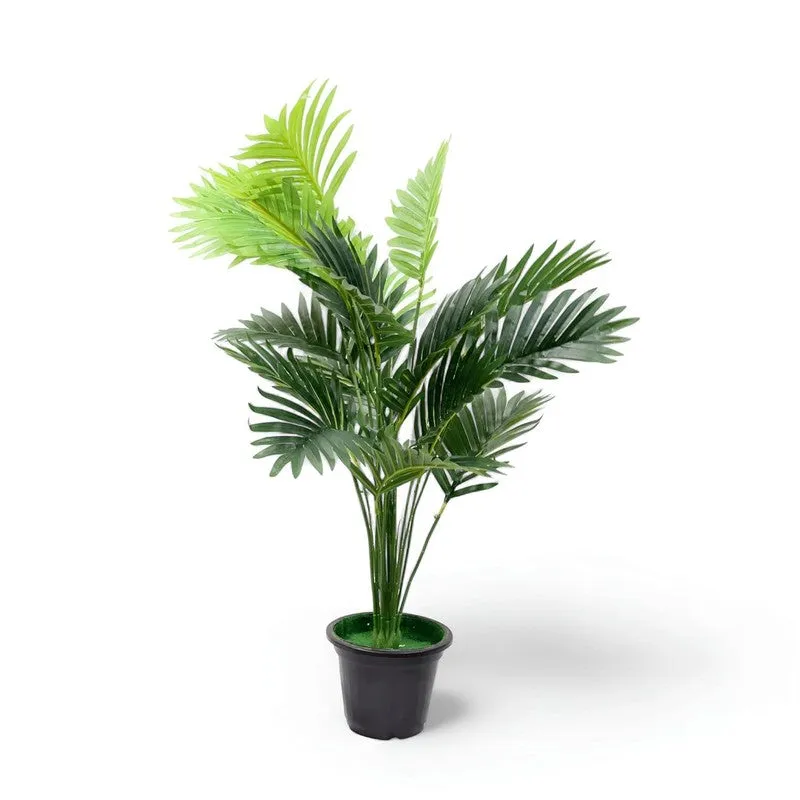 LuxeLeaf Faux Areca Plant - 2.5 Feet media 4