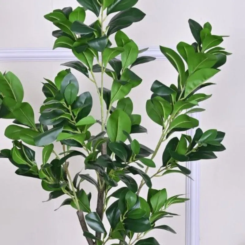 Artificial Peperomia Plant Without Pot - 3.9 Feet media 5