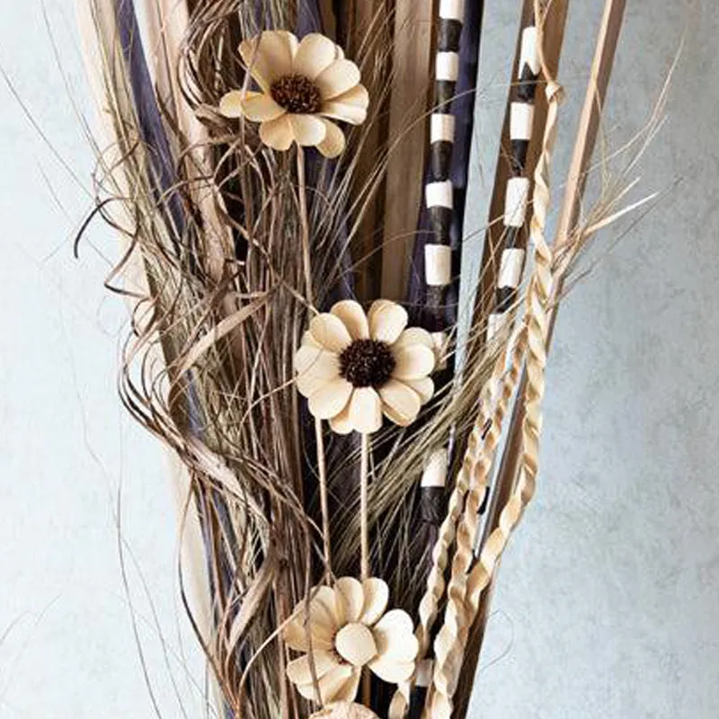 Alizer Dried Stem media 4