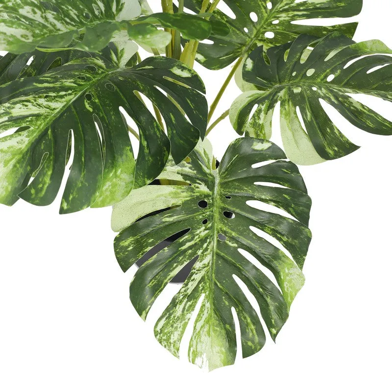LeafScape Artificial Plant With Black Plastic Pot - 2.5 ft media 6
