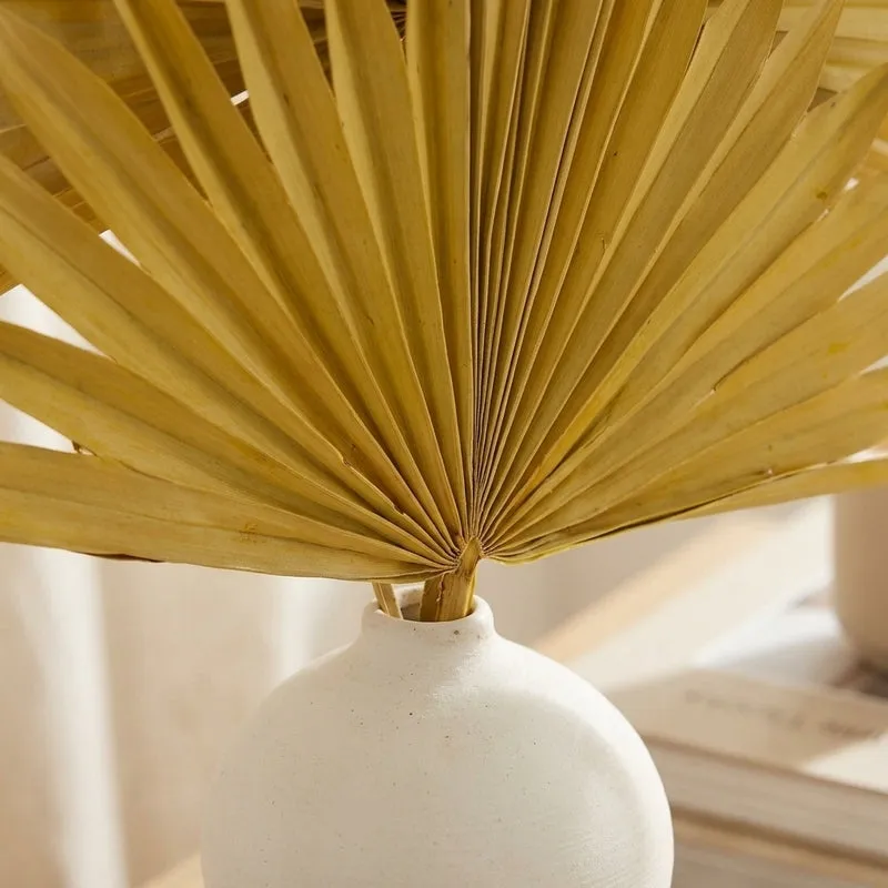 (Yellow) Sun Palm Spear (20 cms) - Set Of Five Stems media 2