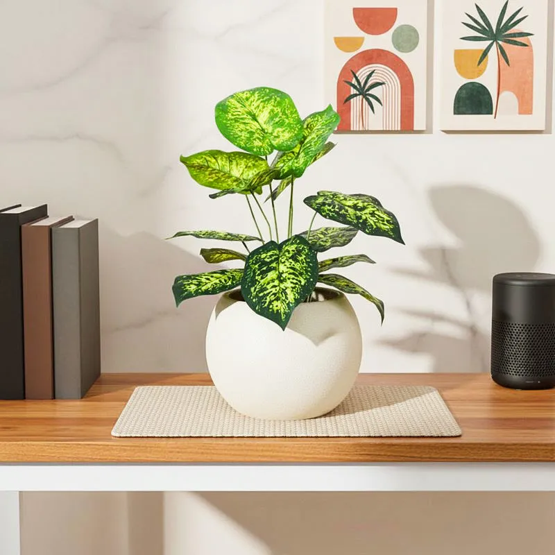 Differa Artificial Dieffenbachia Plant With Black Plastic Pot (1.8 Feet) - Yellow, Green media 1