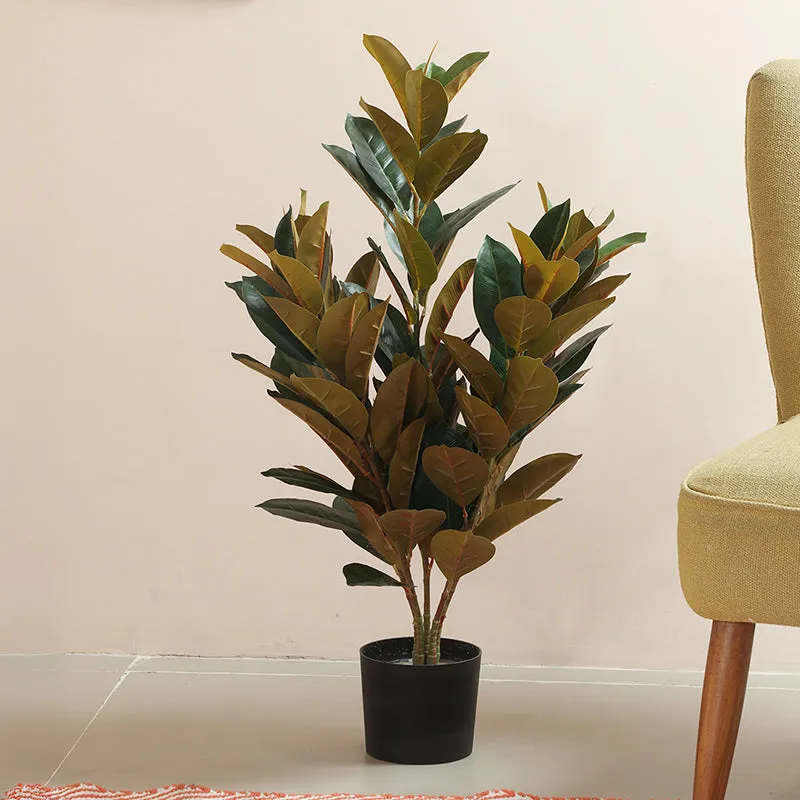 Everfern Artificial Rubber Plant With Black Plastic Pot - 2.8 Feet media 3