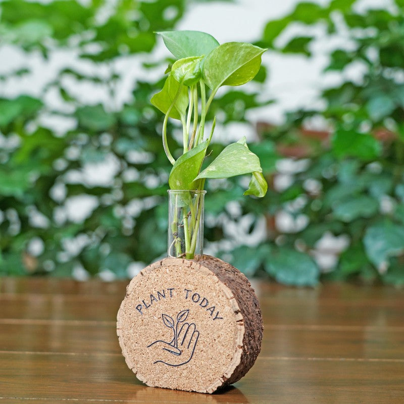 LeafLoom Modern Planter - Two Piece Set media 4