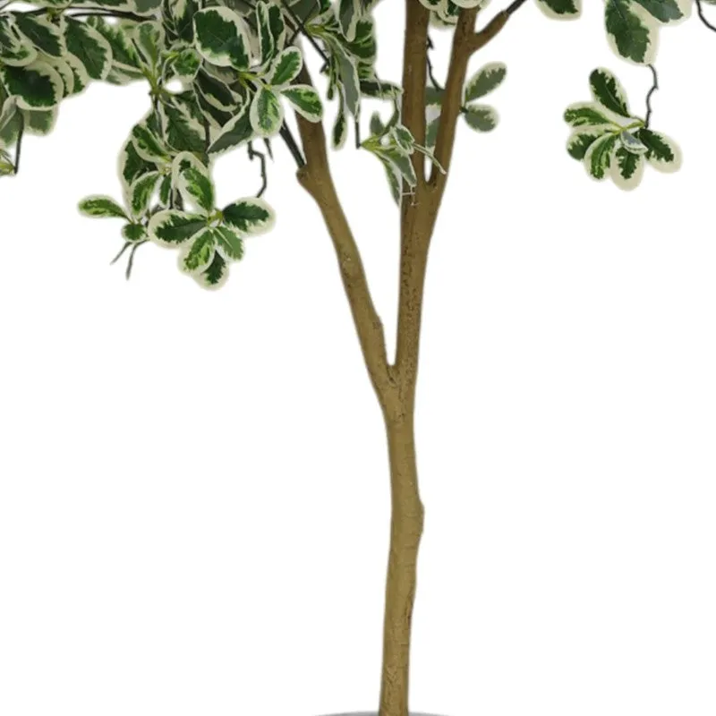 Plantara Artificial Baby Ficus Plant - 4.9 Feet media 3