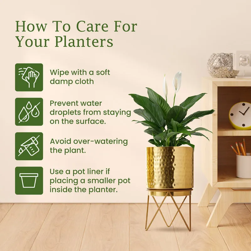 Vida Elle Golden Planter with Stand media 10