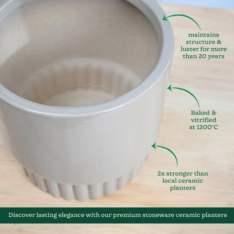 Ugaoo Sleepy Sprout Round Ceramic Planter - Beige media 5