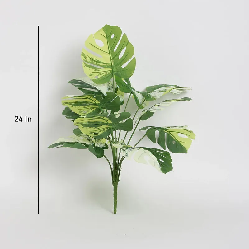 Faux Green & White Monstera Obliqua Plant - 55 Cms media 5