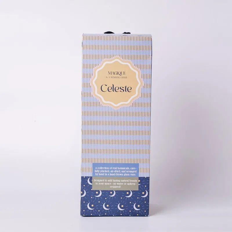 Celeste product box shown upright on a plain background