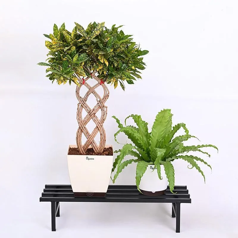 Botanika Elevate Metal Planter Stand (Black)  - Set Of Two media 6