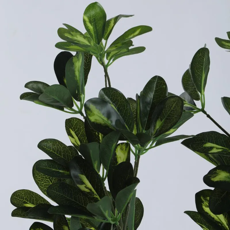 Faux Schefflera Plant With Black Plastic Pot (3.94 ft) - White media 4