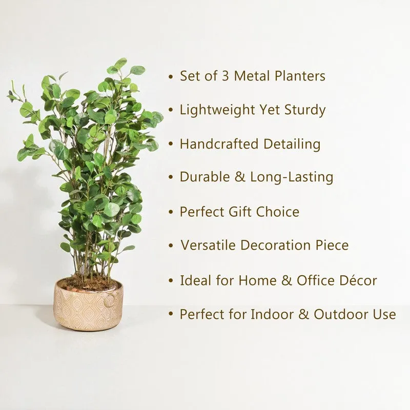 Noctis Metal Planters - Set Of Three media 6