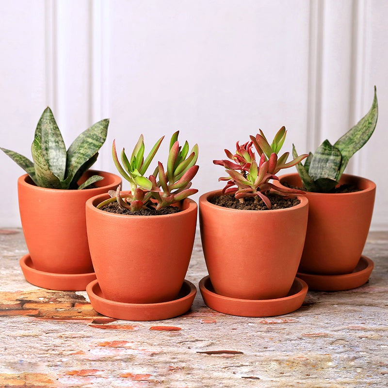 Mud Haus Terracotta Planter - Set Of Four media 2