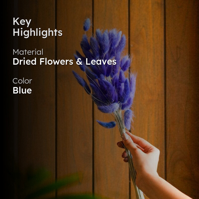 Naturally Dried Bunny Tail Stems (Blue) - Set Of Fifty media 2