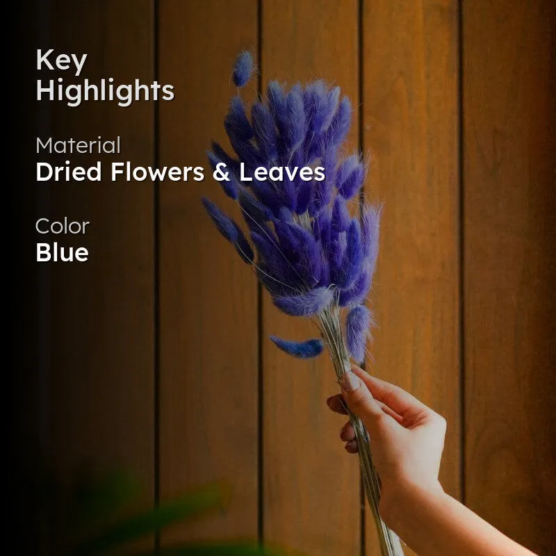 Naturally Dried Bunny Tail Stems (Blue) - Set Of Fifty media 2