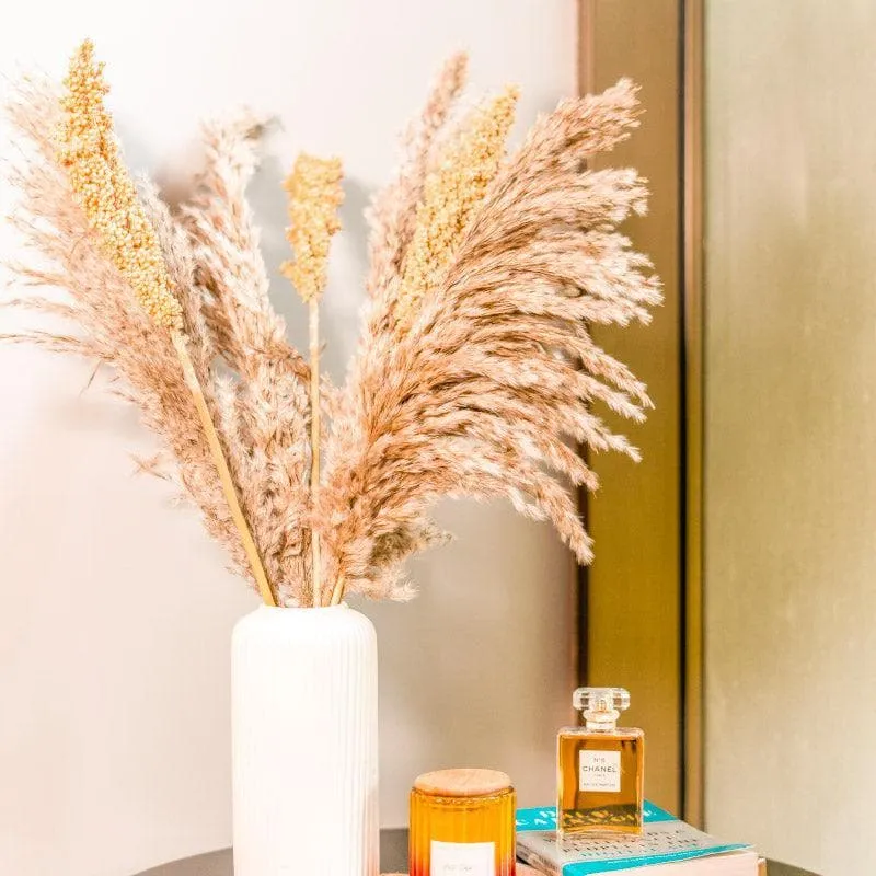 Dried Pampas And Corn Bunch - Set Of Ten media 3