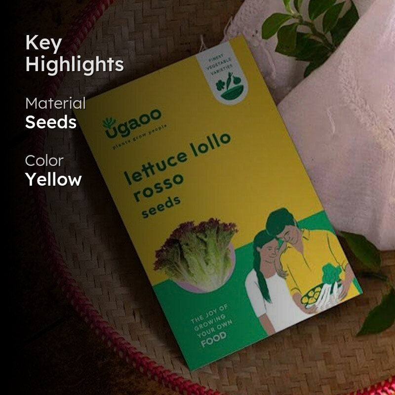 Ugaoo Lettuce Lollo Rosso Seeds media 2