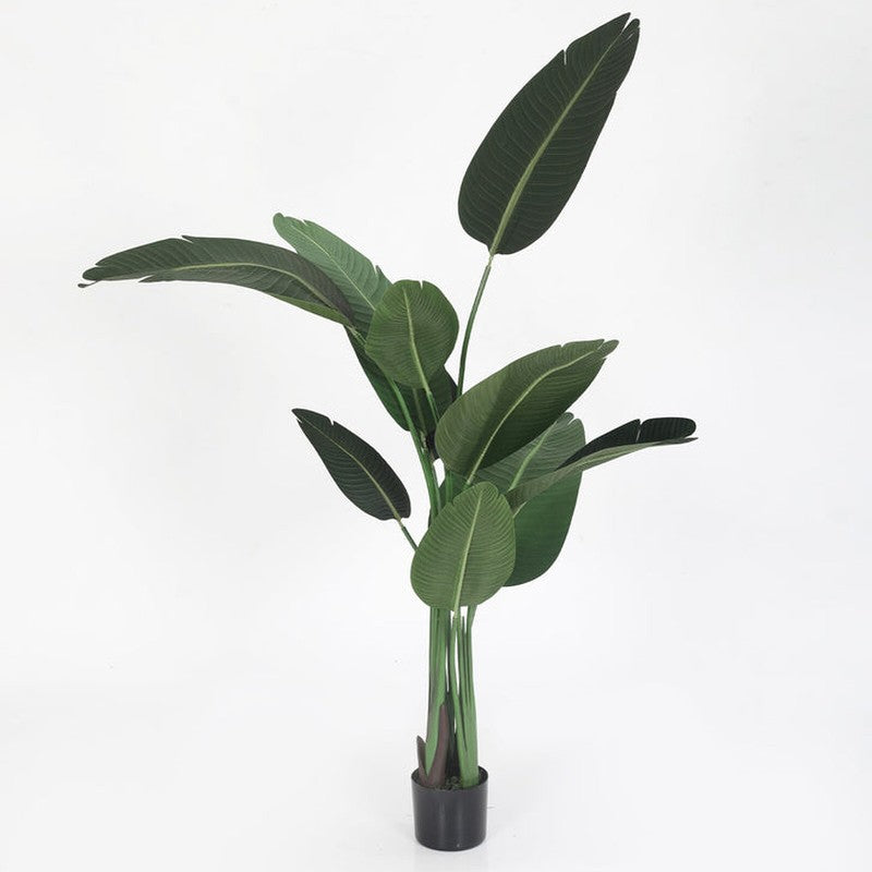 Faux Tropical Bird of Paradise Plant With Black Plastic Pot - 4.9 Feet media 5