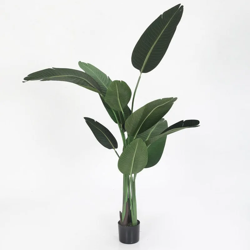 Faux Tropical Bird of Paradise Plant With Black Plastic Pot - 4.9 Feet media 5