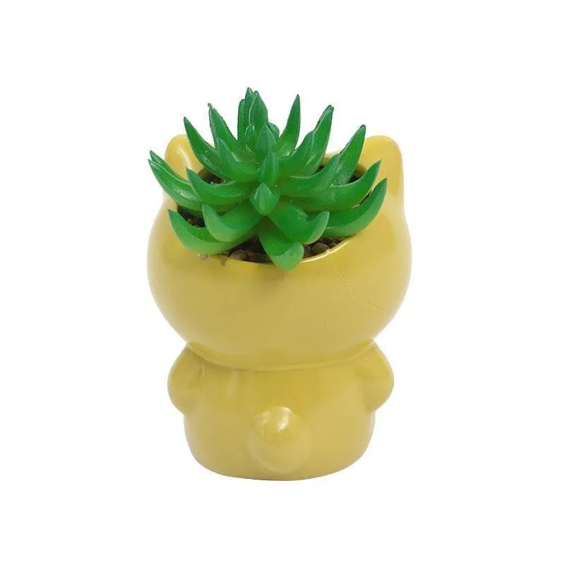 Faux Gasteria In Cat Face Pot - 13.5 cms media 4