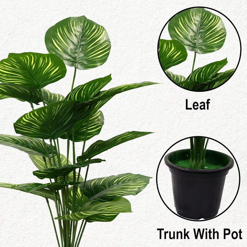 Tropivine Artificial Philodendron Caladium Plant With Black Plastic Pot - 2.5 Feet media 5