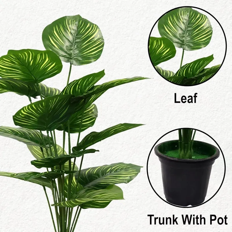 Tropivine Artificial Philodendron Caladium Plant With Black Plastic Pot - 2.5 Feet media 5
