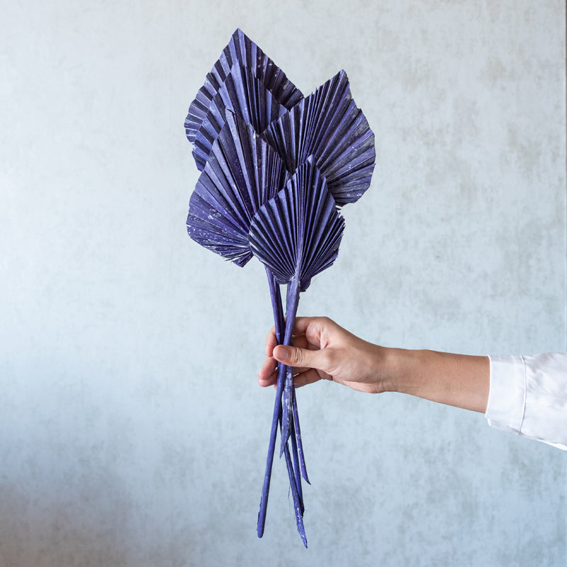 Dried Flowers & Leaves
