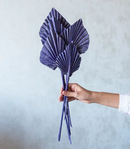 Dried Flowers & Leaves