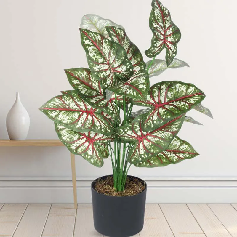 Faux Lush Caladium Plant With Black Plastic Pot - 2.3 Feet media 3