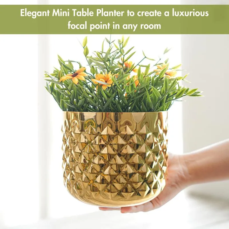 Pineapple Bite Planter - Set Of Two media 4