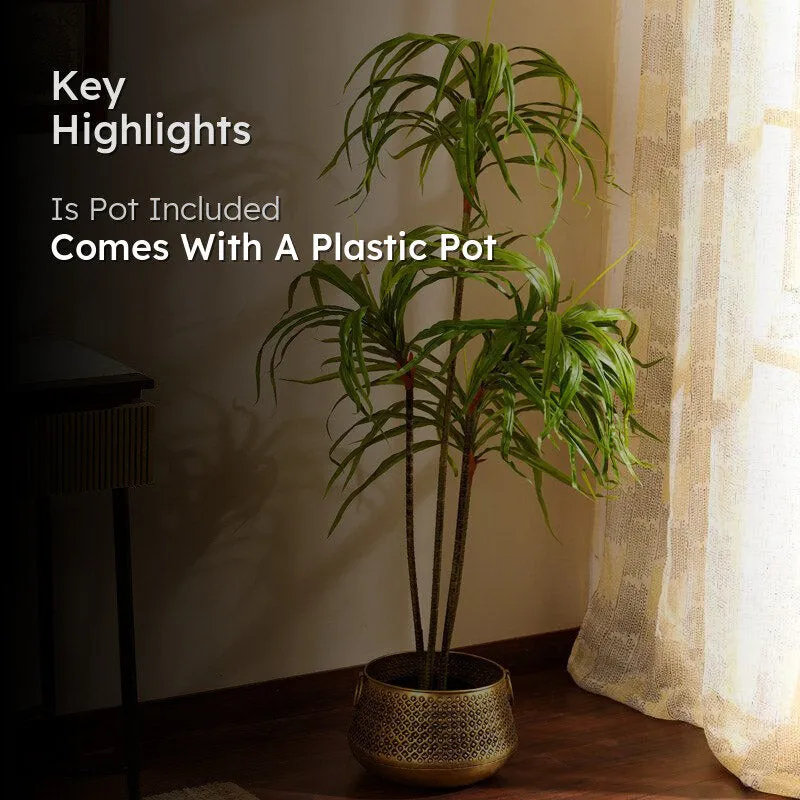 Artificial Realistic Dracaena Plant With Black Plastic Pot - 4.9 Feet media 2