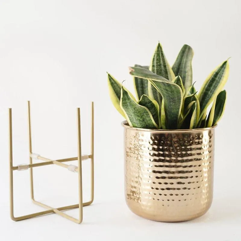 Baela Metal Planter - Small media 4