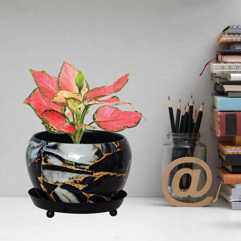 Axl Smudge Planter media 2
