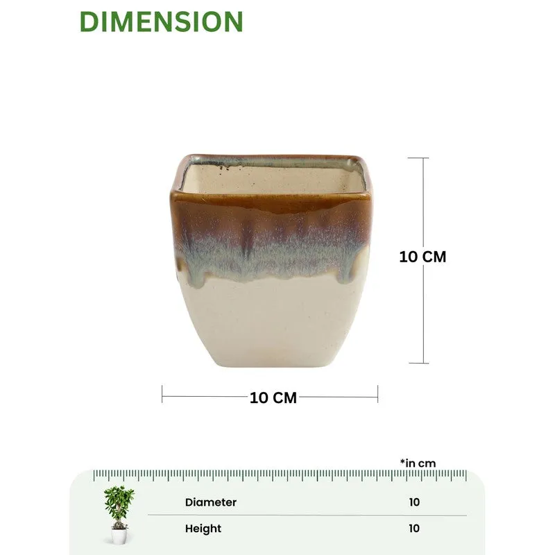 PureLuxe Pots & Planters (Brown,white) - Set Of Two media 11