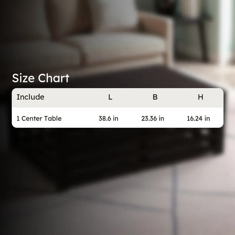 Clavon Sheesham Wooden Center Table - Black media 8