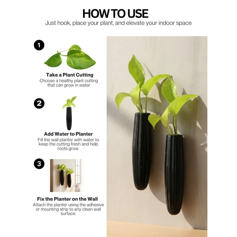 Yloria Pots & Planters (Black) - Set Of Two media 6