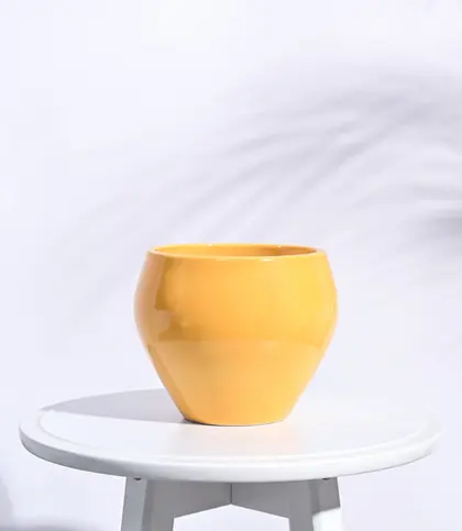 Ceramic