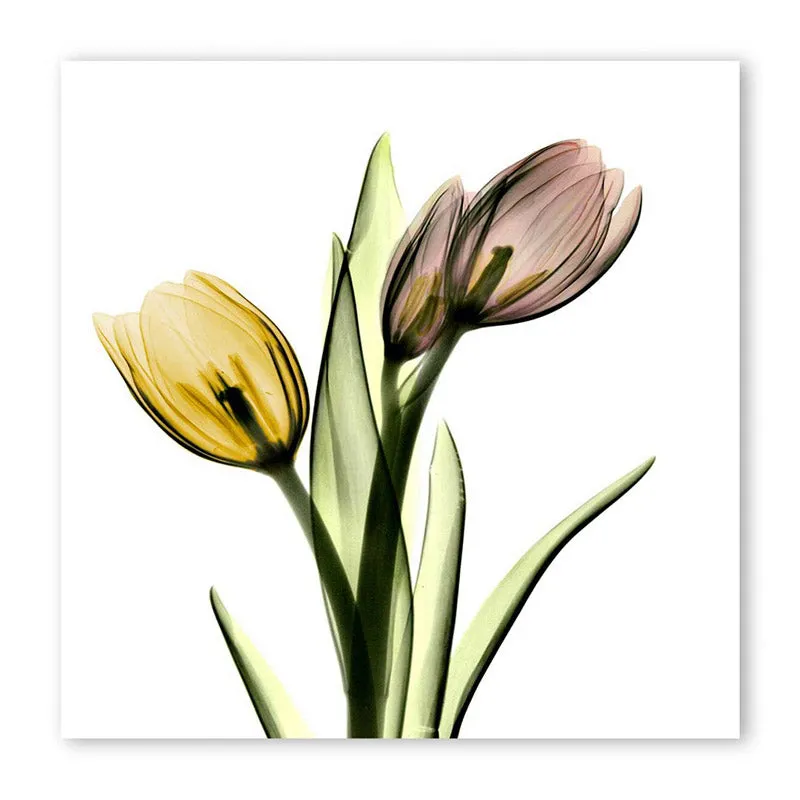 Cochran Floral Wall Art media 4